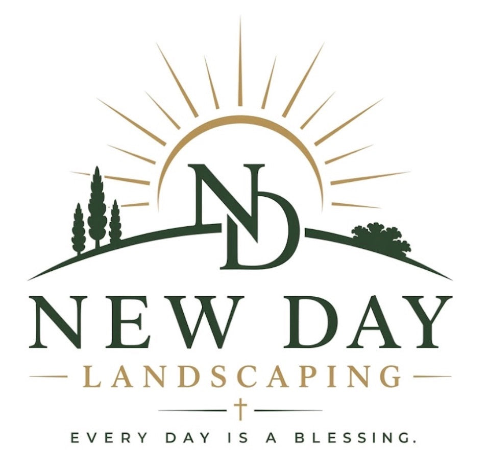 New Day Apparel